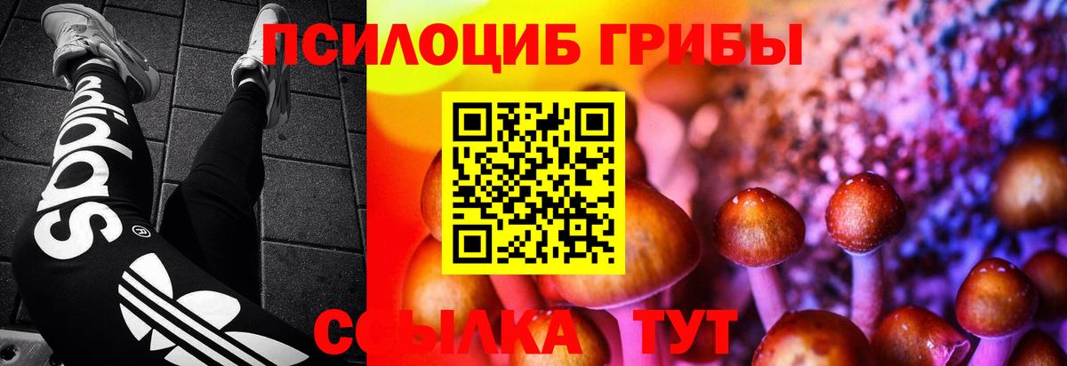 Сланцы  Галлюциногенные грибы Psilocybine cubensis  Вход с VPN  Псилоцибиновые грибы прущие грибы 
