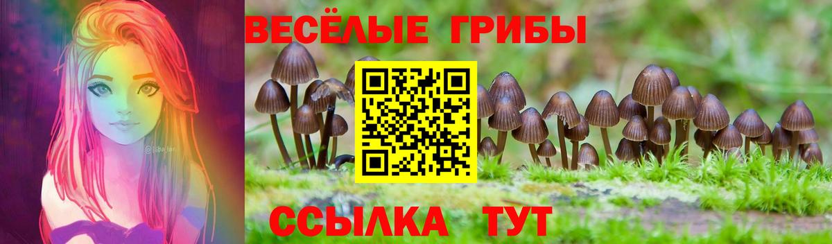 Псилоцибиновые грибы MAGIC MUSHROOMS Сланцы